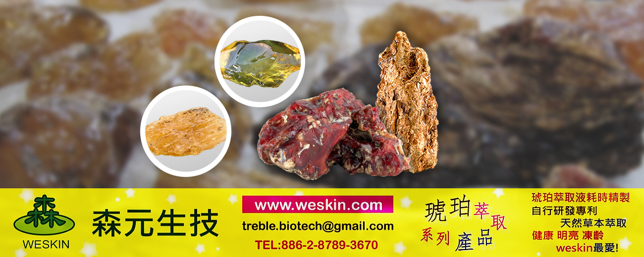 banner_r1_c1.jpg banner_r1_c1.jpg